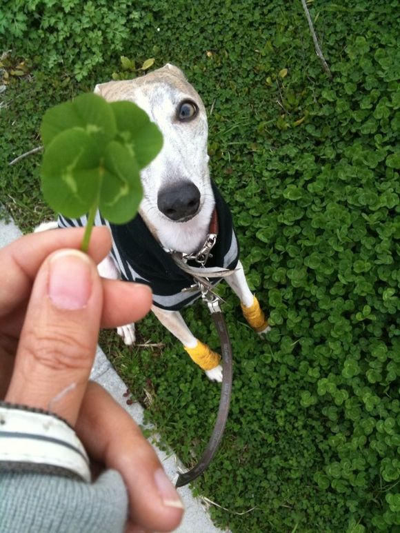 写真.jpg