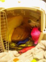 img129.jpg