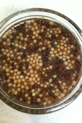 粒マスタードを作ろう