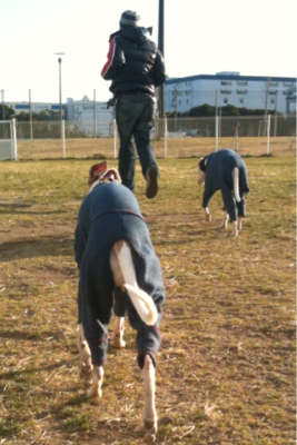 ペアルック