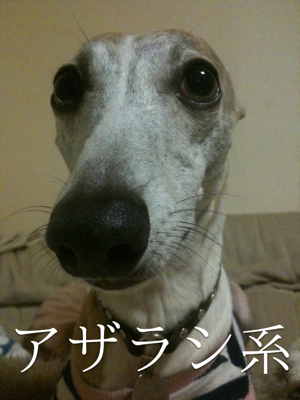 告白ごっこ