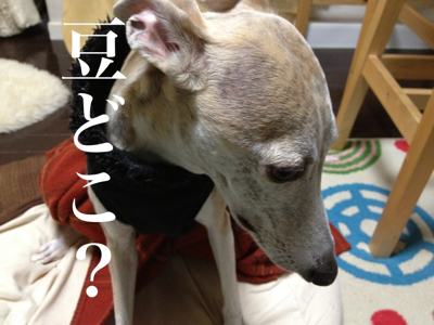 二月四日はおやつデー(ちがう