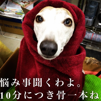 占いババ